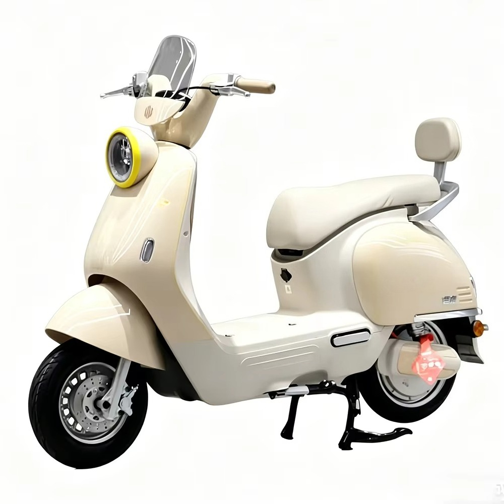 EER Adult electric motorcycle  - огляд і ціна Brake Disc Motorcycle