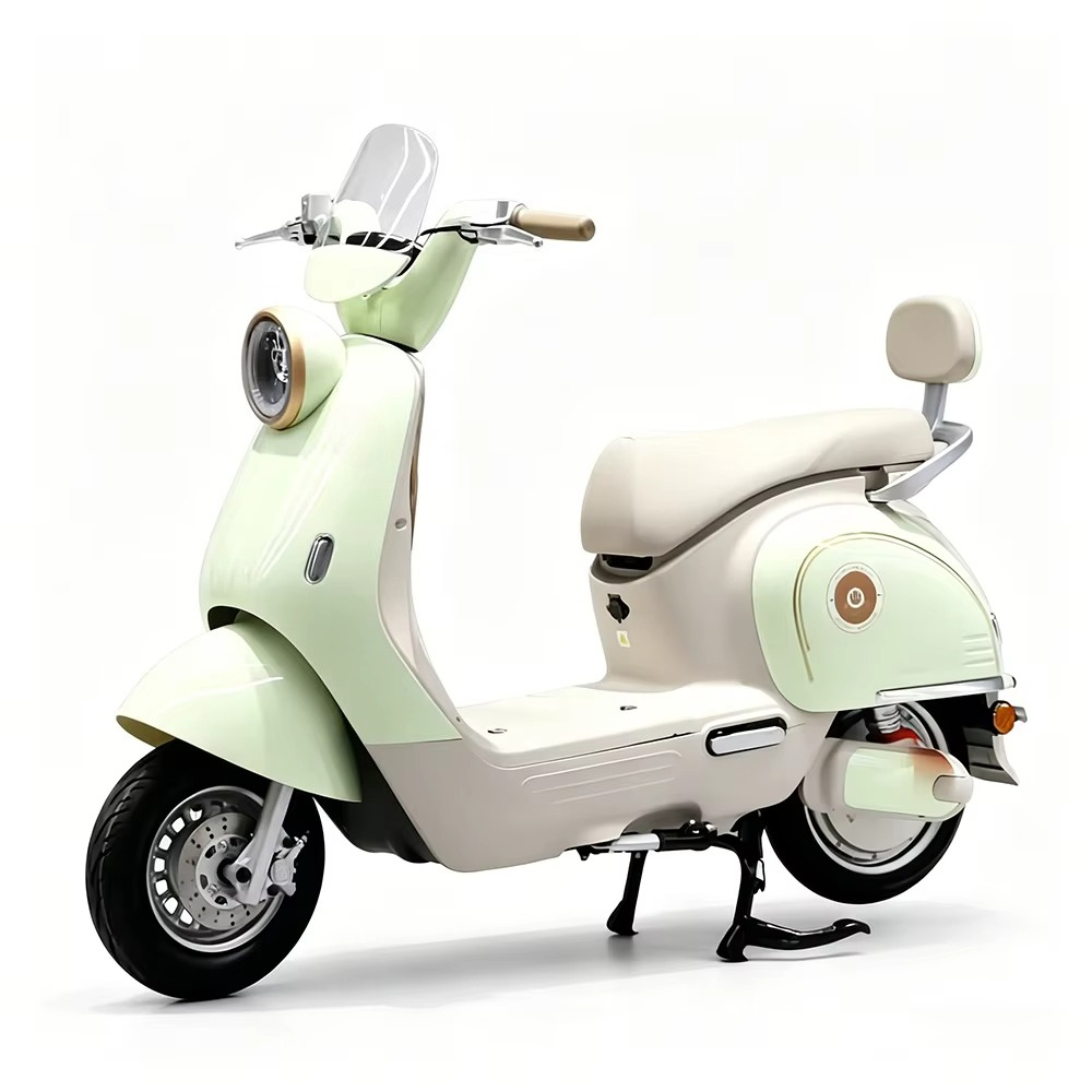 EER Adult electric motorcycle  - огляд і ціна Brake Disc Motorcycle