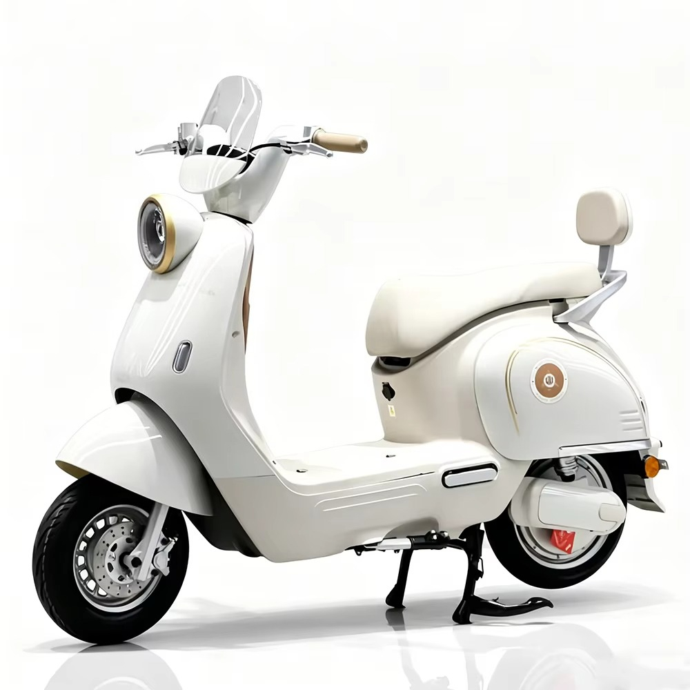 EER Adult electric motorcycle  - огляд і ціна Brake Disc Motorcycle